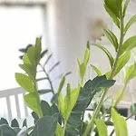 Casa Alda 公寓 斯培西亚