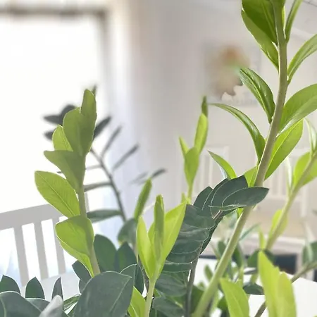 Casa Alda Apartment La Spezia