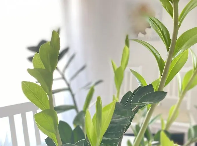 Casa Alda Apartament La Spezia